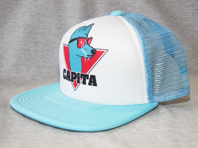 13-14 CAPITA FORM TRUCKER6