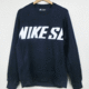 2016 NIKE SB入荷アイテム